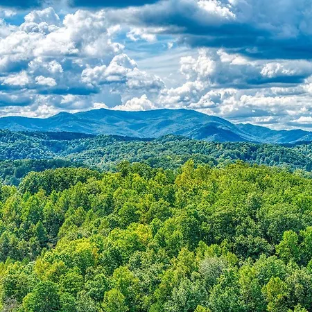 Bearskin Getaway, Wifi, Hot Tub, 1089 Of Free Tickets For Each Paid Day, Dollywood And More!